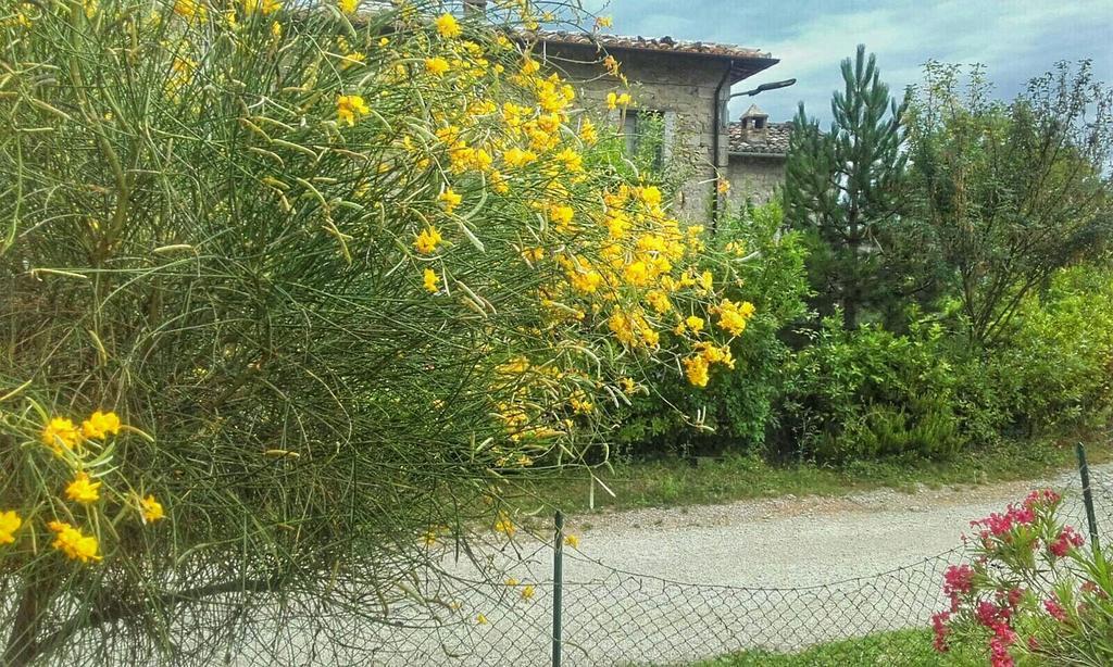 B&B Casale Giovannozzi Ascoli Piceno Exterior photo
